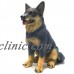 Blue Heeler Dog Puppy Sitting Statue Garden Ornament Sculpture 34cm   332288048670